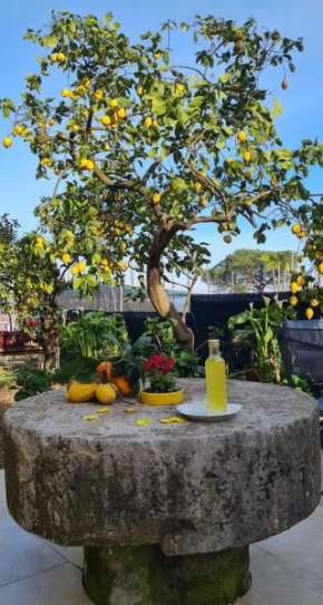 RITA HOME B&B SORRENTO